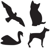 Simple animals shapes N2