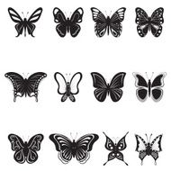 butterflies black silhouettes on white background vector