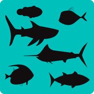 fish silhouettes N4