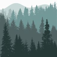 Tree N66