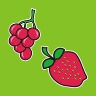 Fruit N12