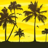 Palm Tree Scene N2