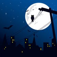 Halloween N291
