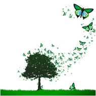 Butterfly Tree N2