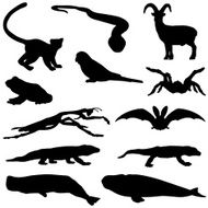 Variety of animal silhouettes