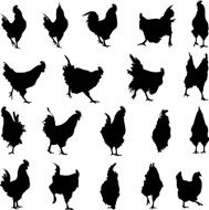 Rooster and hen silhouettes