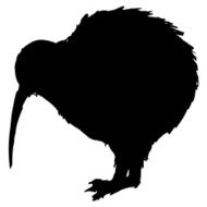 Kiwi Bird N2