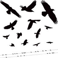 Bird Silhouettes N5