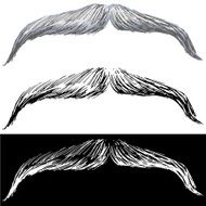 Moustache N2
