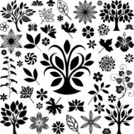 Botany set