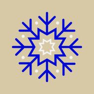 Snowflake Ornament