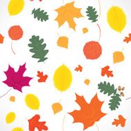 Autumn leaf fall N3
