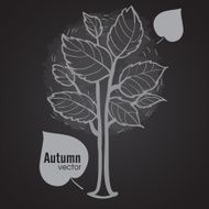 Autumn Tree Background