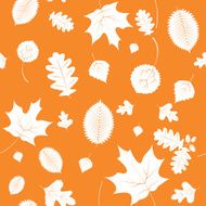 autumn leaves N67