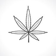 Cannabis Leaf N3