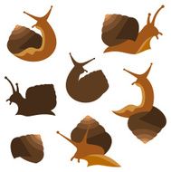 snail N9