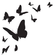 Vector white background N2