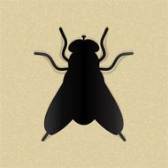 Black silhouette of a fly on yellow paper