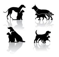Dog and Cat Veterinary Icons