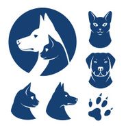 Cat and dog symbols
