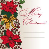 Christmas star 6