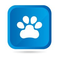 Pet design N6