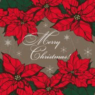 Christmas star 3