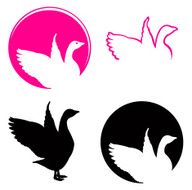 Swan logo design