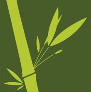 Bamboo N22