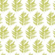 Seamless pattern with fern leaves vector