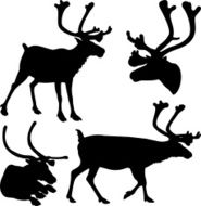 reindeer - vector silhouette