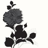 Rose Black and white greeting card or invitation