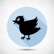 Small Cute Bird