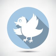 Small Cute Bird N2