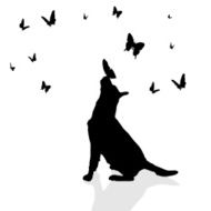 Vector silhouette of a dog N145