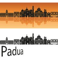Padua skyline in orange background