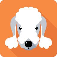 dog icon flat design