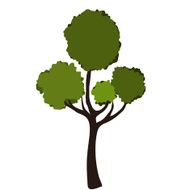 Tree abstract