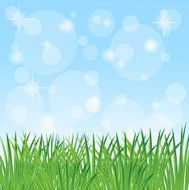 green grass on a blue background