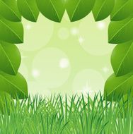 background with green leaves and grass