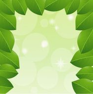 background with green leaves for a design