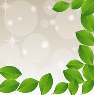 background with green leaves for a design N2