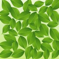 background with green leaves for a design N3