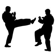 black silhouettes of karate