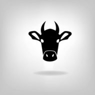 cows head