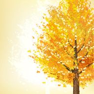 Golden tree in Autumn
