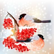 Christmas background with snow bird and rowan in retro style