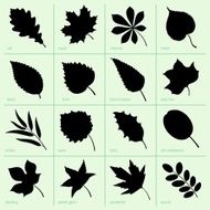 Leaves N92