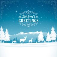 winter background N58