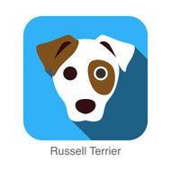 Russell Terrier dog face flat icon series